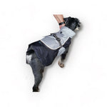 Alpine All Weather Dog Coat