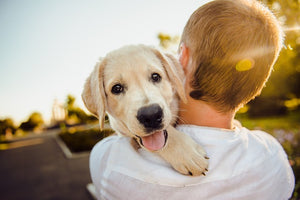 Celebrating Canine Connections: A Trio of Dog-Centric Days