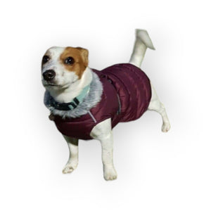 Alpine Extreme Weather Dog Puffer Jacket
